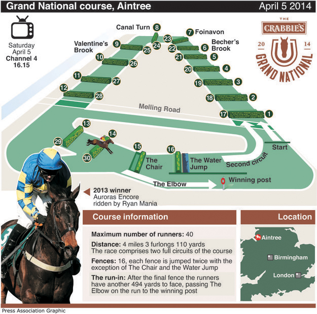 Grand national names of horses 2014 year